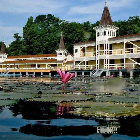 In - Balaton 44881 *