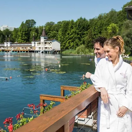 In - Balaton 44881 *