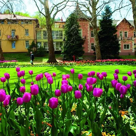 In - Balaton 44881 *