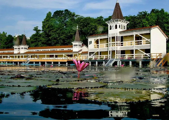 In - Balaton 44881 *