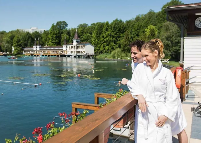 In - Balaton 44881 *